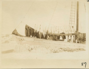 Image of Bow of Bowdoin in winter quarters, fox skins hung to dry; blankets airing